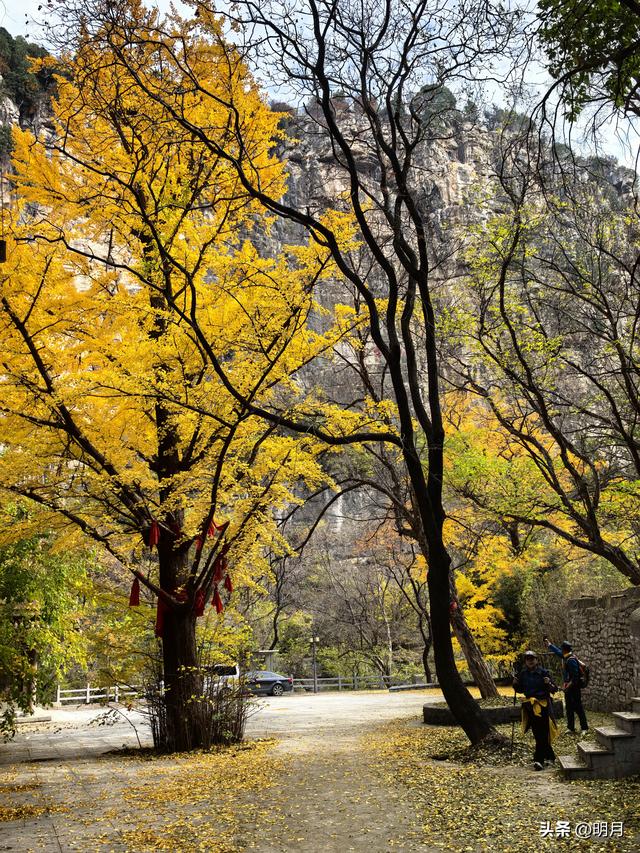 龙洞胜境尤奇崛