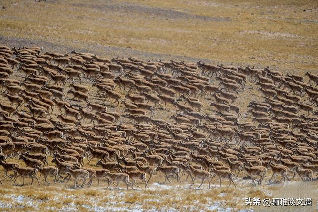 旅行者的终极“地理情书”，大西北八个世界遗产，史诗般绝美画卷