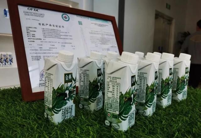 冰雪盛宴——阿荣旗冬季邀您共赴北国之约