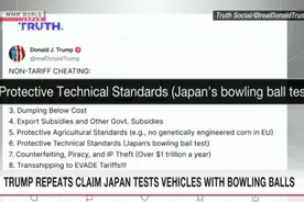 对进口车“保龄球测试”？日本驳斥特朗普说法图片