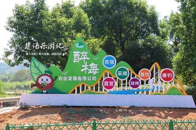 绍兴上虞发现了一处水杉林，面积不大但是清幽而美丽，适合周末游