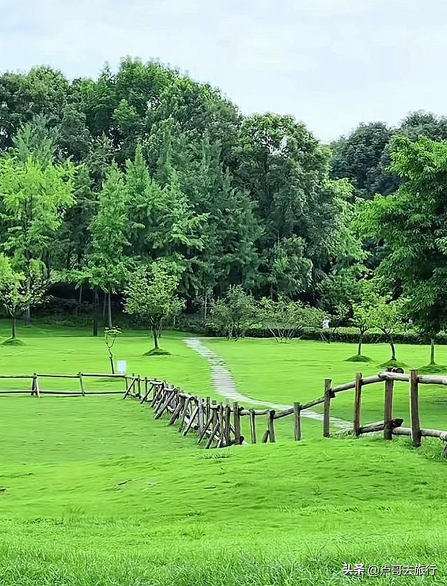 成都最美拍照公园，城市中的草原牧场，不要门票，地铁公交直达！