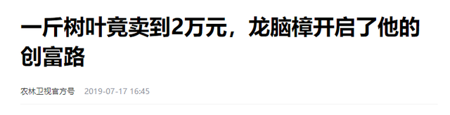 浙江大叔董红卫，将树叶磨成粉，一斤卖2万被疯抢，如今年入过亿