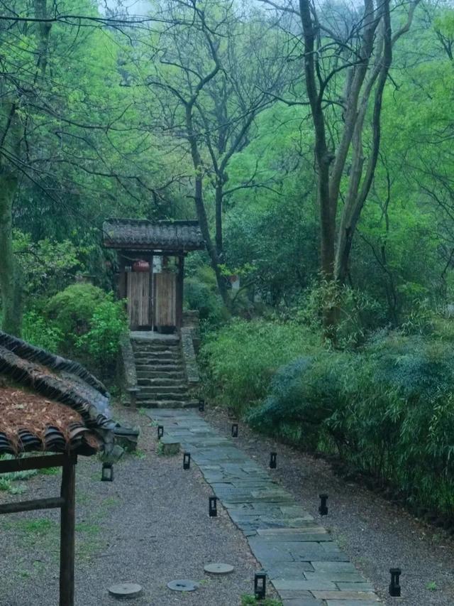 降雨持续！最凉快的一周！黄陂赏雨去！