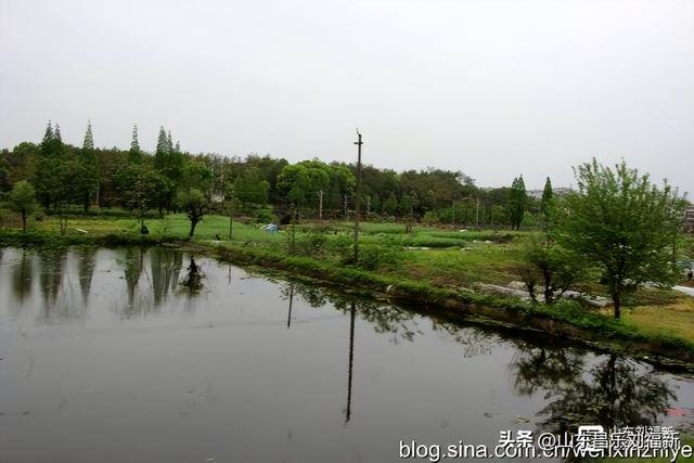 从广丰到鹰潭车拍之二（江西之旅第六十篇）