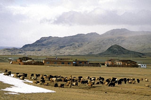 想将稀土运送到美国？蒙古的如意算盘：用400平方公里土地换通道