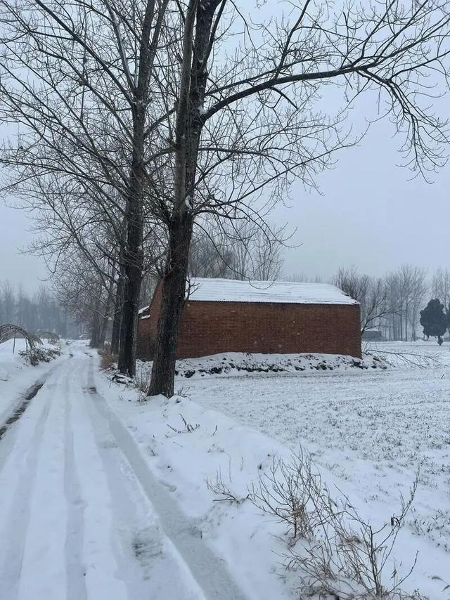 “大雪在头，冻死老牛；大雪在尾，单衣过冬”，2025年大雪啥情况