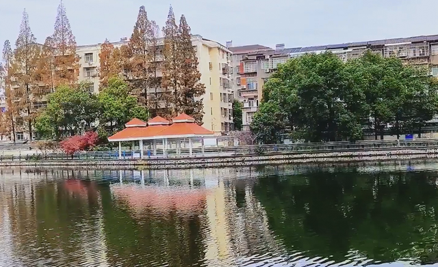 水乡藏韵 诗里寻踪 潜江行之“南门河游园 闹市中的水乡清幽”