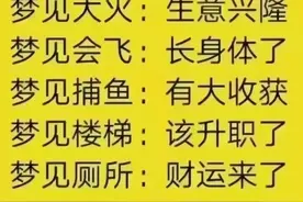 梦见会飞，原来是长身体了。周公解梦，太经典了图片