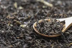 东方树叶茶饮品，是否健康？减肥达人推荐：饮品的潮流之选！图片