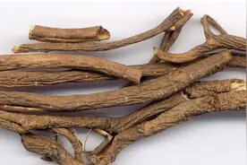 “天精、地精、人精”三者合一，脾肾肺统调，通补三焦图片