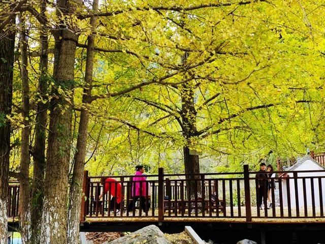 来体验，你没见过的小镇四季！