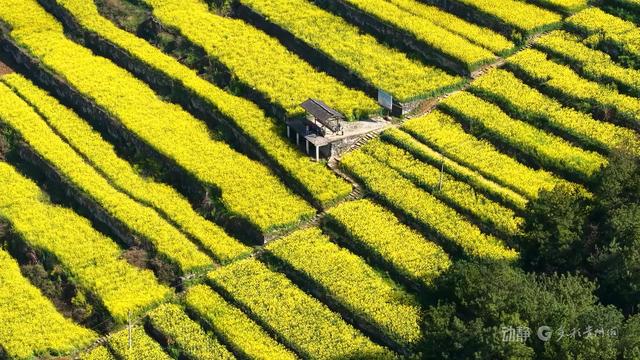 不负春光不负卿！贵州开启“花样”模式