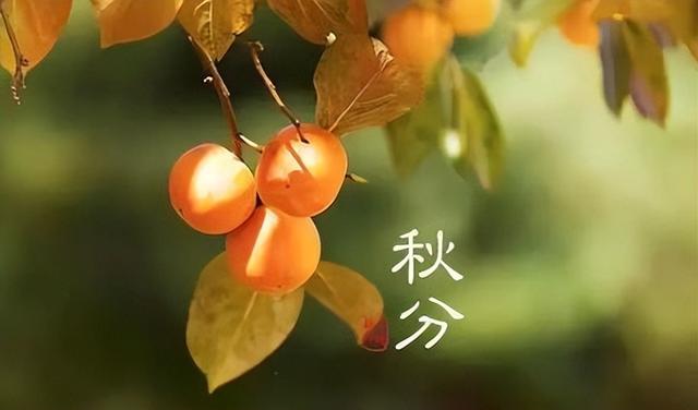 “上午秋分，大雪封门；下午秋分，单衣过冬”，今年秋分是几点？