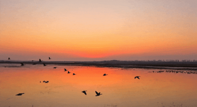 @仙桃人，这回大家真的要关注呀！