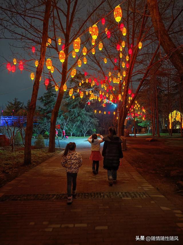 洛阳正月十五赏灯最佳处：隋唐遗址植物园
