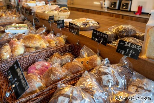 【乐游烟台】周末好去处丨被低估了！烟台这三处“初冬避风港”太好逛了