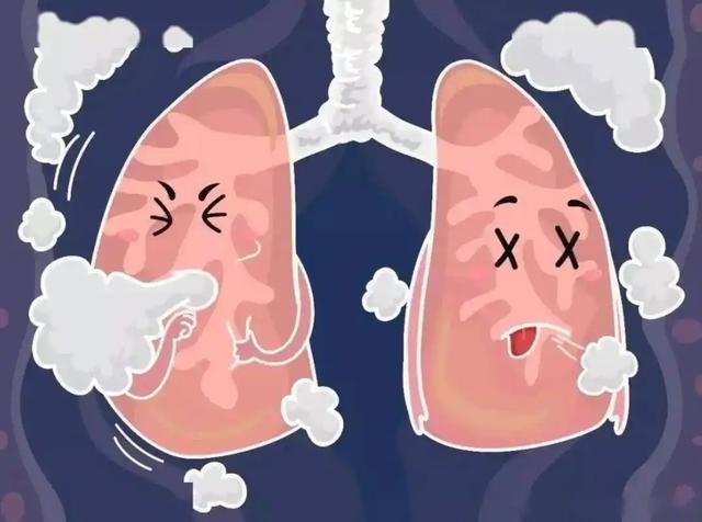 坚持夏天晨跑好不好？医生说：4个身体变化早晚会出现