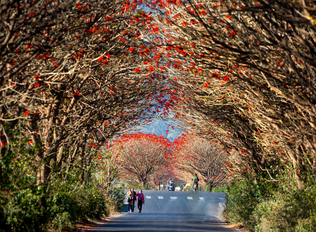 四川省西昌市历史沿革及行政区划