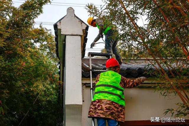 文化公园：公园焕新添暖意 游客欣然入画来