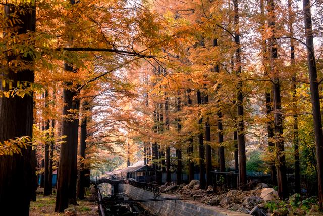 蒙山旅游区大洼秋景