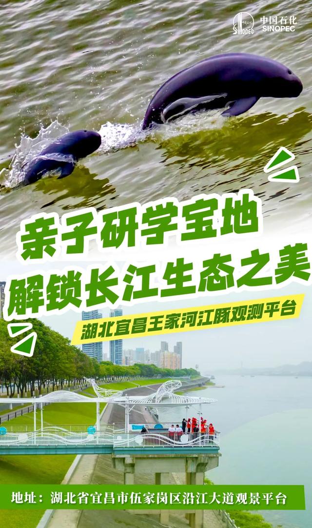 这么近那么美，周末到……中国石化！