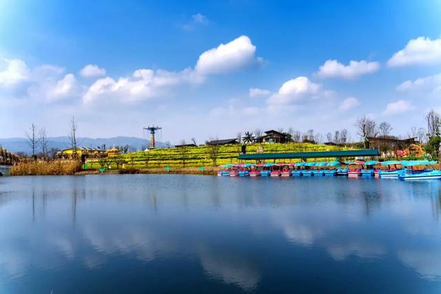 热气球、露营、寻宝……秋假快来金堂这里！