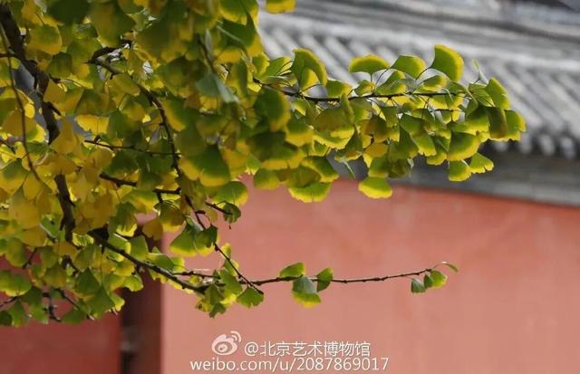 博物馆秋之旅丨博物馆限定！这些古建里的绝美秋色不可错过——