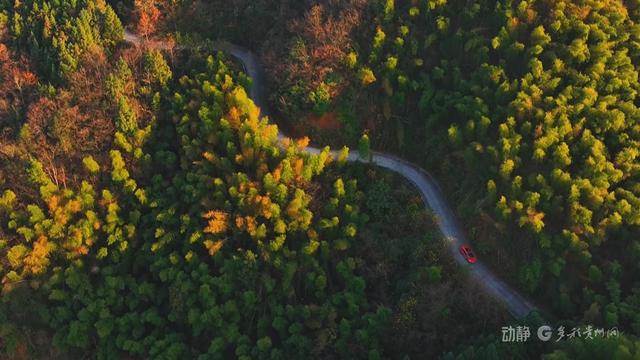 贵州天龙山初冬：斑斓画卷中的时光低语