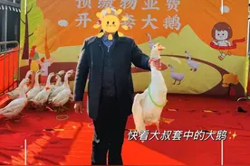 预缴物业费还能“套大鹅”！这届物业真会玩图片