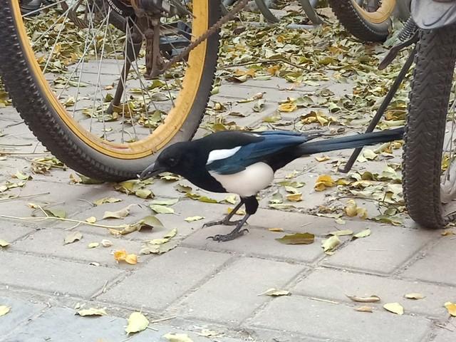 只能共快乐，不能共患难 第2张