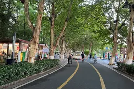 武汉东湖绿道现“人车矛盾”市民呼吁：“人车分流”迫在眉睫图片