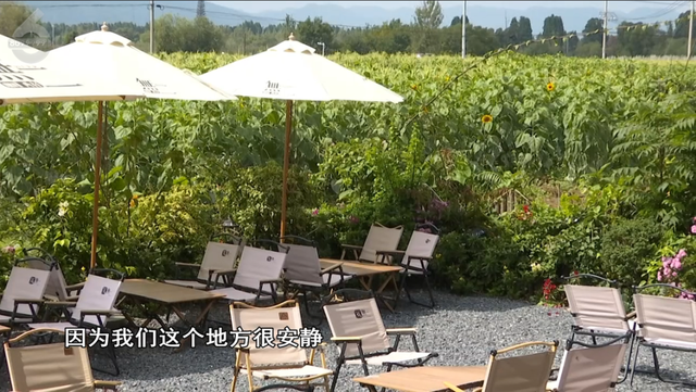 在昆明，藏着冬日里独有的松弛角落