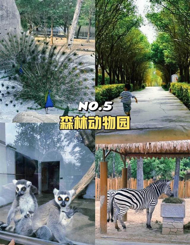 从福建到河南焦作住了一阵子	，说真心话，河南焦作比我想象的更好