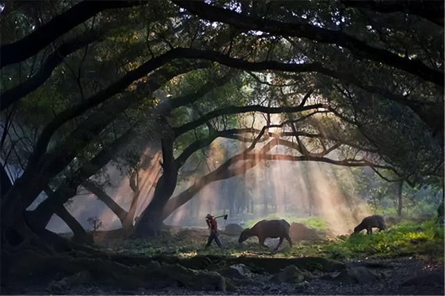 这是油画还是实景？太美太美啦！！