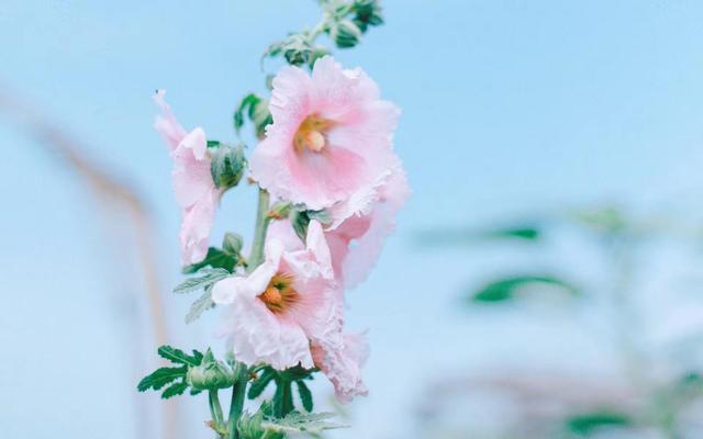 这社会，有时候真像一面照妖镜，照出人情冷暖，照出现实百态。