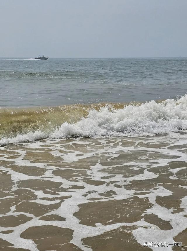 涛声依旧，海浪滚滚，向往大海就奔向大海，向往高山就赴向高山