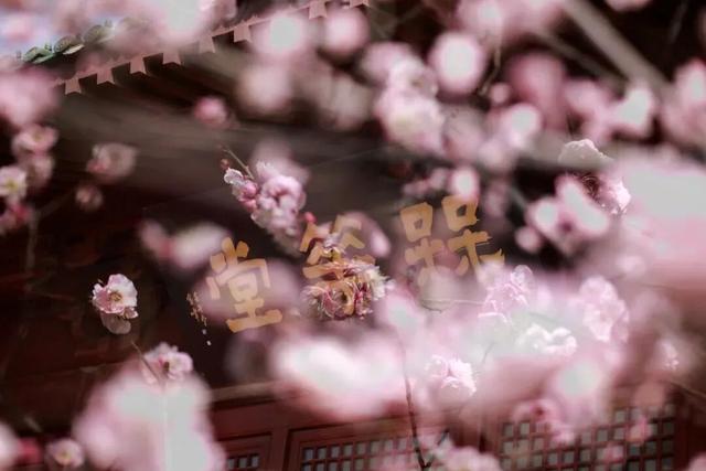 2026年来开封，这份时间表请收好！