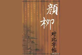 “颜筋柳骨”800组异形同字，对照学习柳体、颜体楷书的实用字帖图片