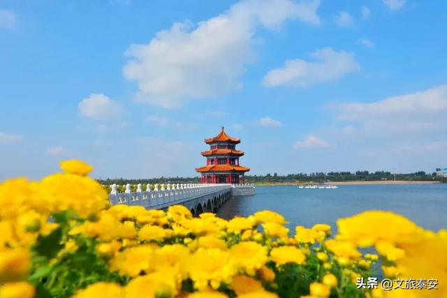 来泰安看“齐鲁超赛”！岱岳游玩双沉浸！绿茵热血碰撞山野诗意→