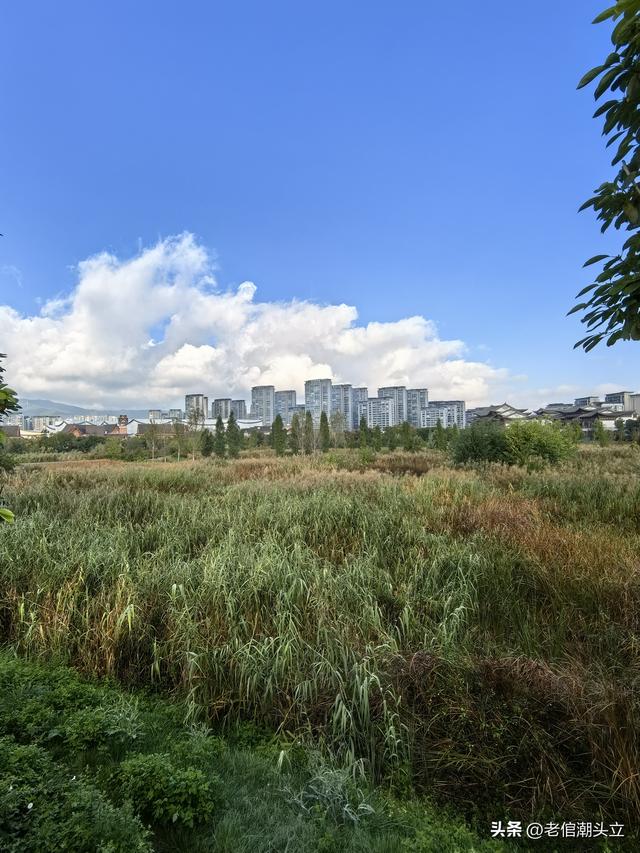 冬天的早上 晒着太阳从大观楼徒步到西山茶马花街 是什么样的感受？