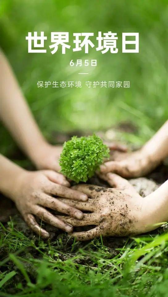 6月5日 世界环境日保护环境宣传标语，保护环境，从我做起。