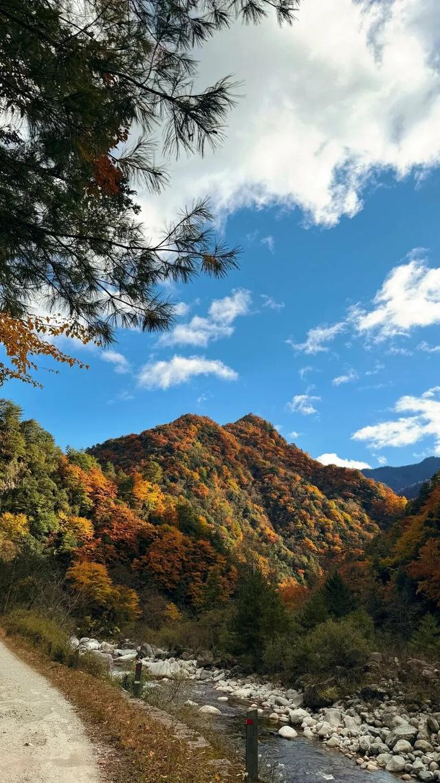 我竟然发现，唐家河红叶居然如此好看！