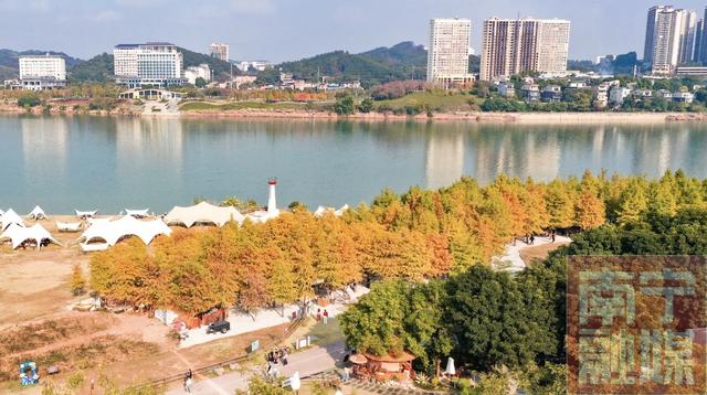 这片“橘子海森林”美翻了，简直是南宁版的洱海