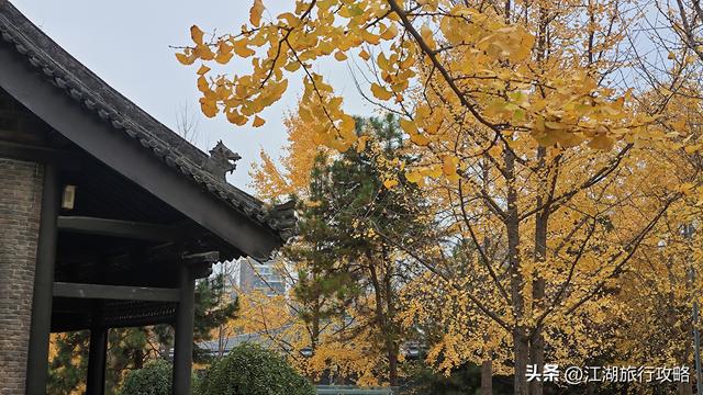 西安曲江富人区墓景房，地下埋着秦二世，地上是银杏林和博物馆