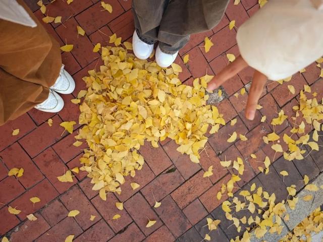 抬头！在寒冷的冬天再欣赏欣赏科院的秋吧