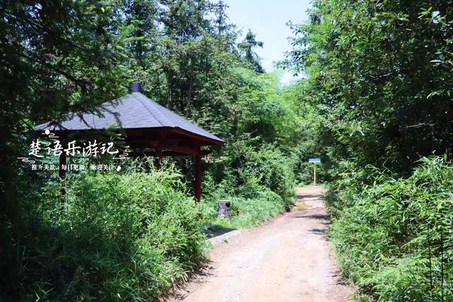浙江宁波的玩水古道，山石奇峻潭瀑成群，确实很秀丽但雨后更美
