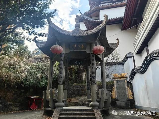 一树金黄,满城风雅!温州这棵著名的古寺银杏再不去就要落叶了