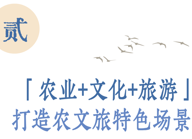 新线路！金湾重磅发布