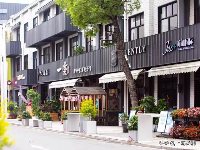 杨浦3处上榜！这些“家门口的好去处”，你打卡了吗？